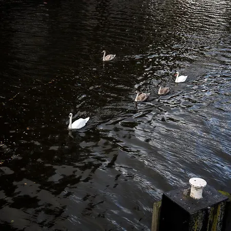 Sweets - Kattenslootbrug Apartmán