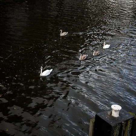 Sweets - Kattenslootbrug Apartmán Amsterdam
